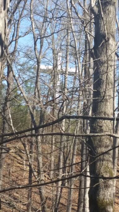 View from the back deck