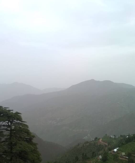 View 2