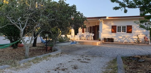 The villa among olive trees