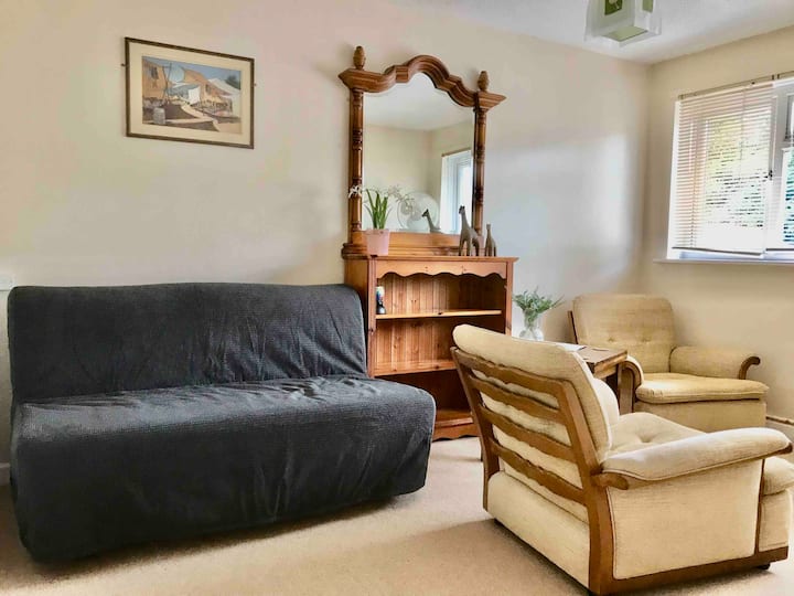 酒廊 
配有双人床沙发
多两把椅子 
电视只需在Netflix上播放 
镜子书架 

