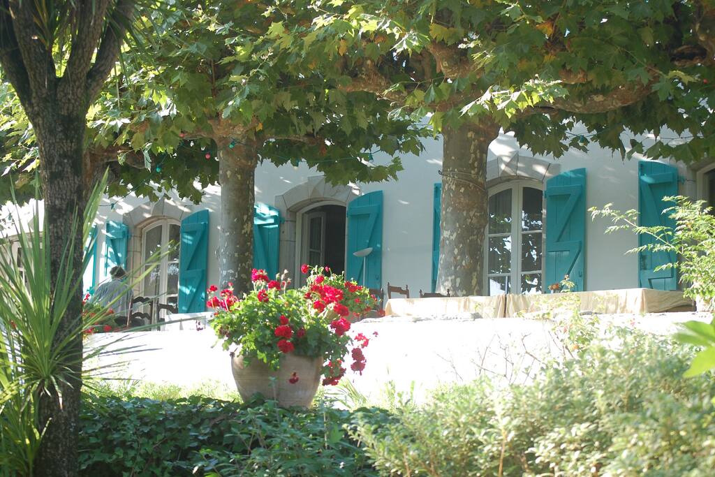 terrasse sous les platanes