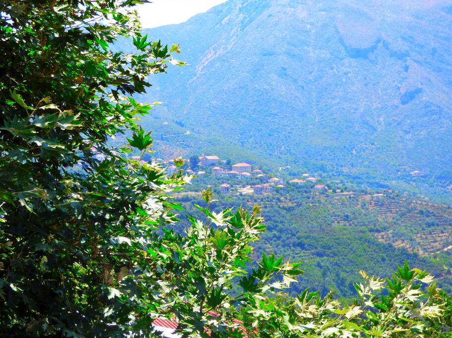 Panoramic view