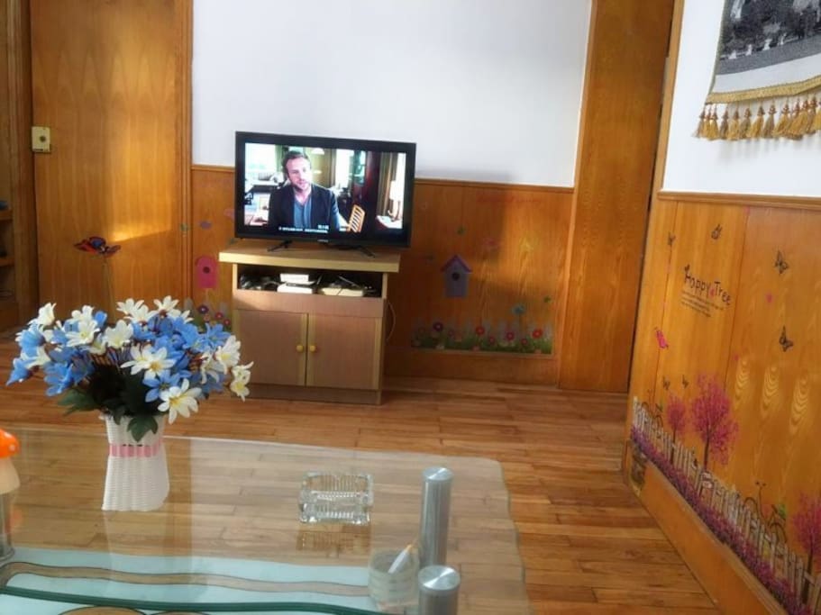 网络电视及wifi,Internet TV
