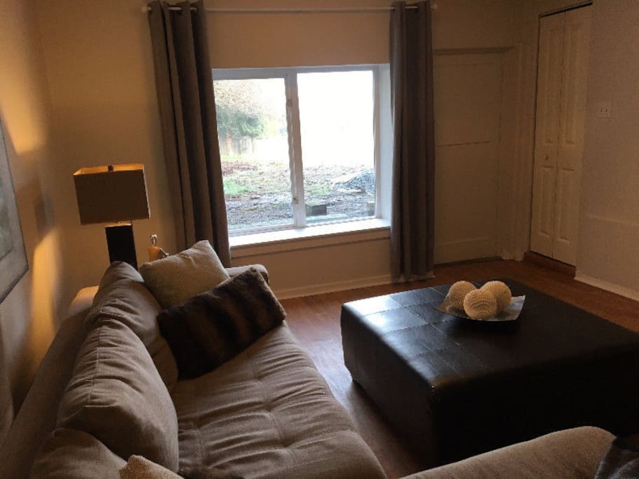 Living room with a view.