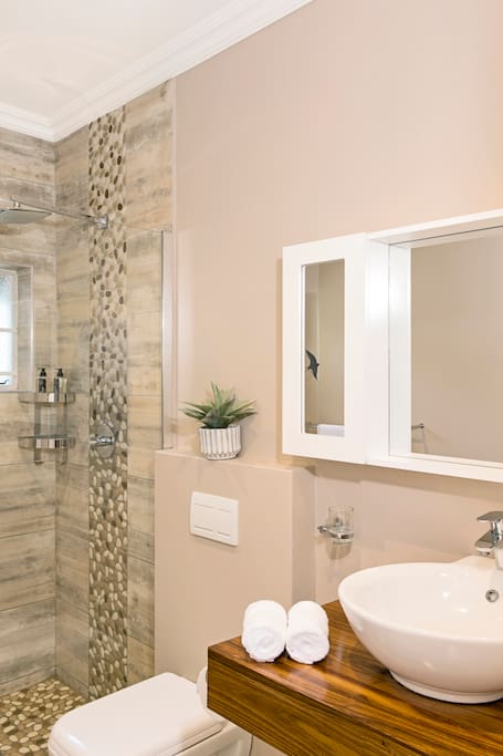 Modern luxury shower and toilet.