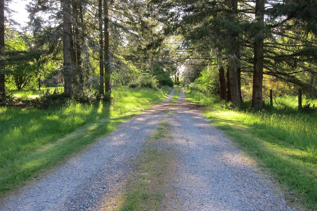 Driveway to a little peace and quiet...