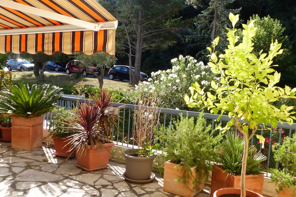 Terrasse ensoleillée avec jardinières, store