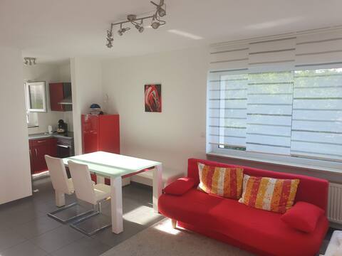 Apartment in Blaustein separate entrance