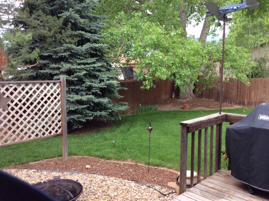 Back yard