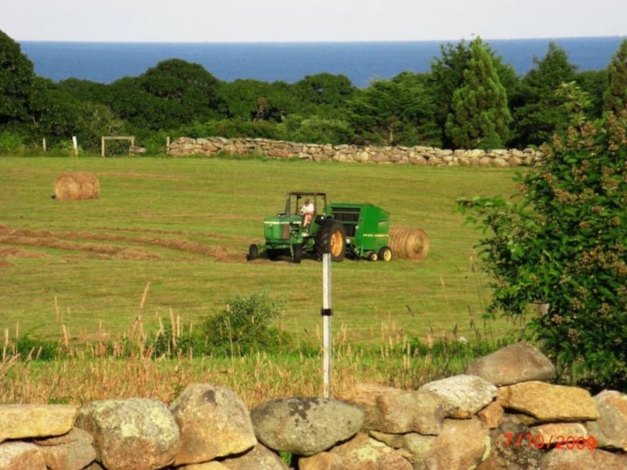 The Vineyard's quintessential Keith Farm as viewed from all living areas and 2 bedrooms