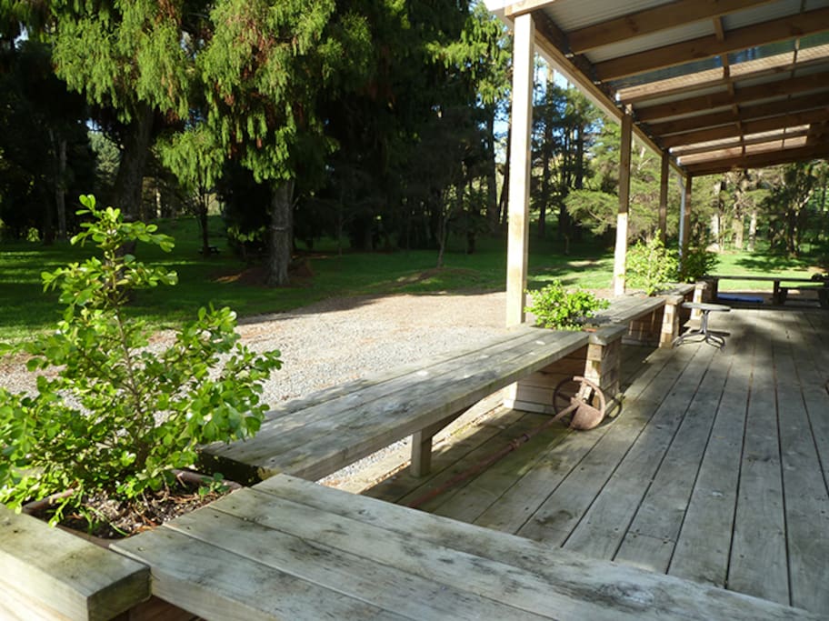 From the deck looking out at the Rimu grove
