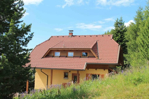 Directly in the hiking area: XXL-Almhaus for 10 guests