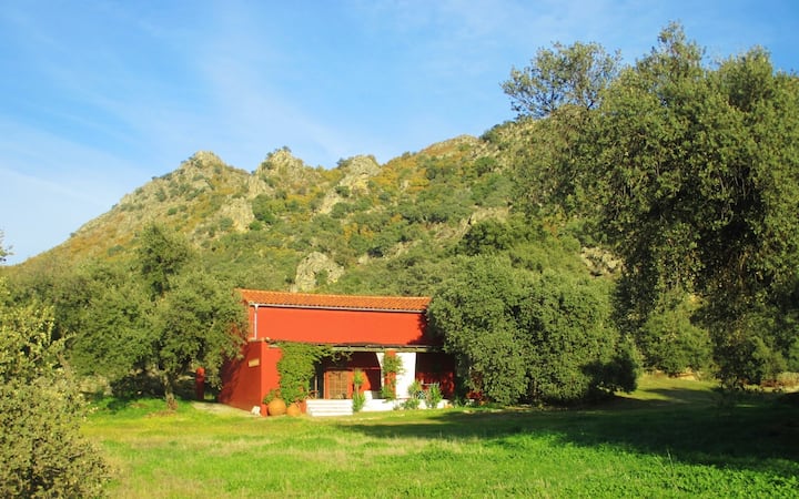Charming spacious barn with mountain views & pool