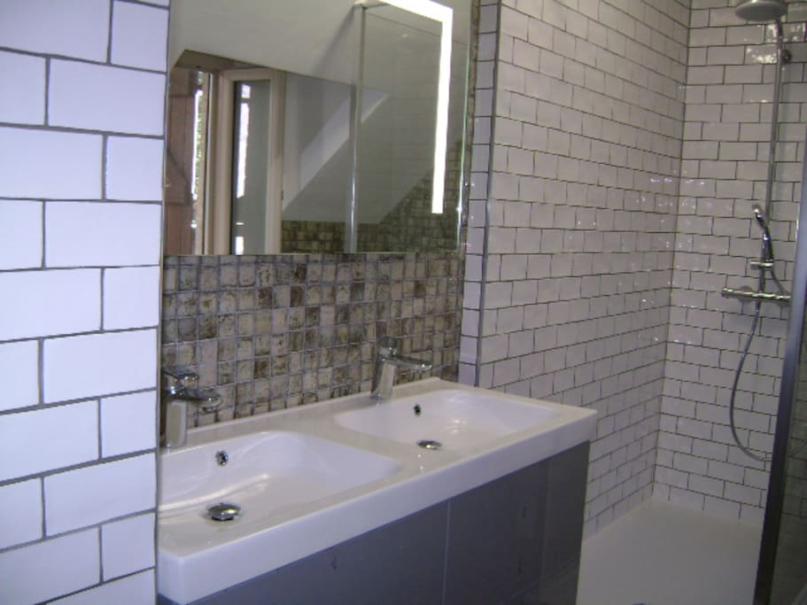 Double bowl sink and mirror