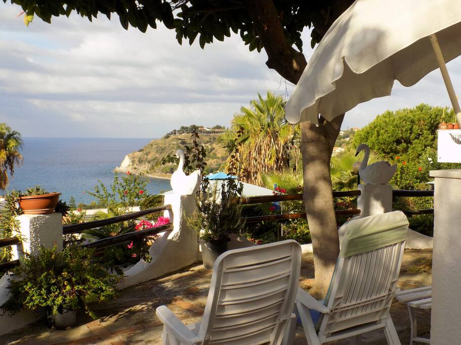 Garden with seaview