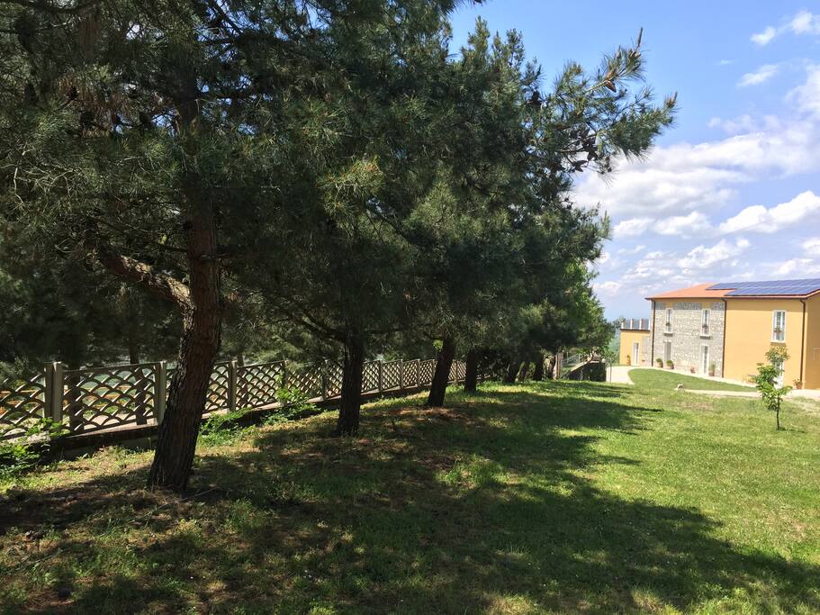 Giardini