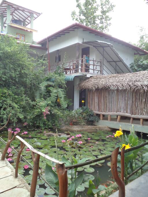 Pond View