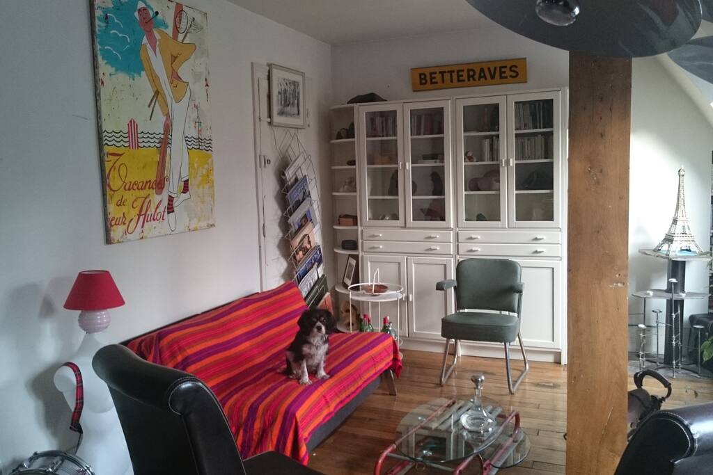 Salon lumineux sous les toits de Paris