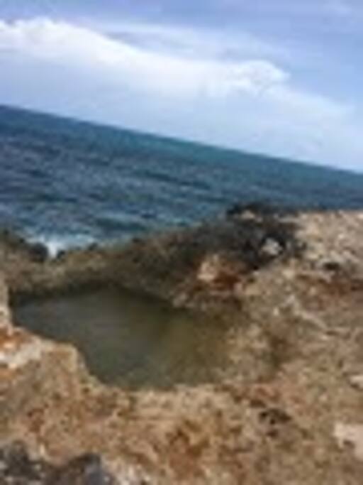 Natural saltwater pool in the backyard