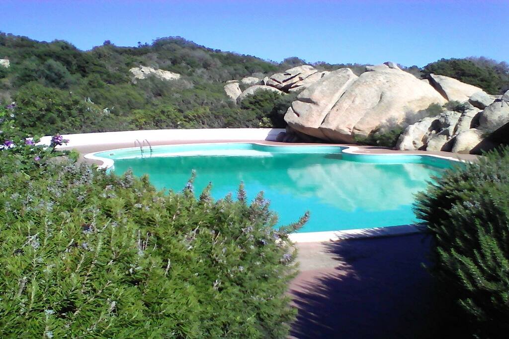 Grande piscine environnement typique