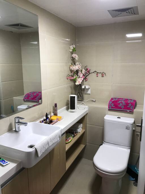 Bathroom (downstairs)