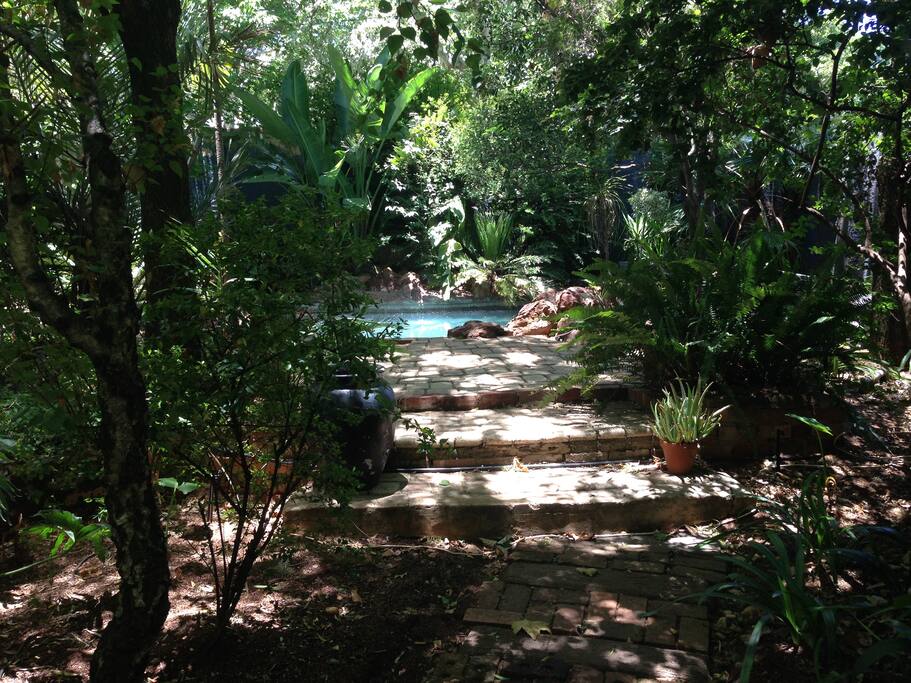 Lush and full garden