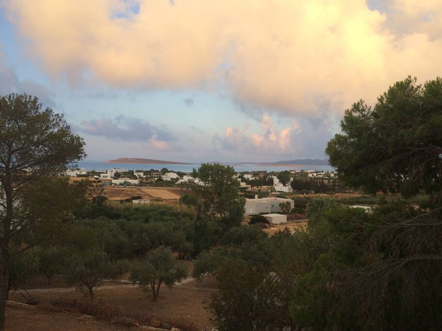 The view from the living room