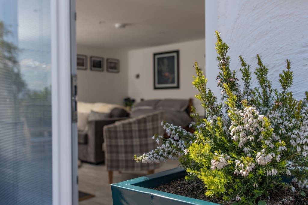 Cosy, clean and bright accommodation