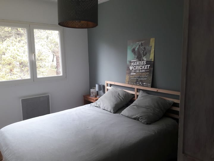 საძინებელი 1