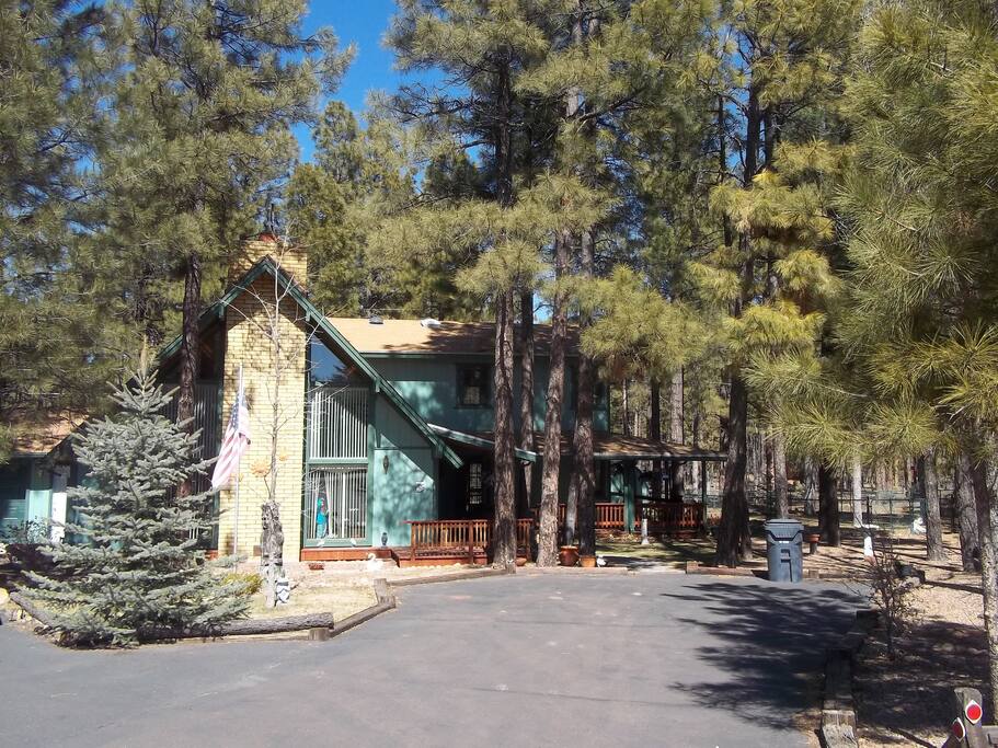 Awesome yard to run around