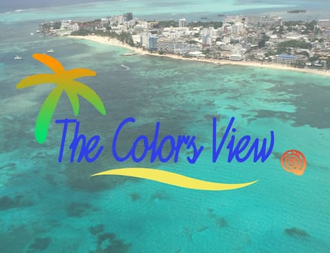 The Colors View