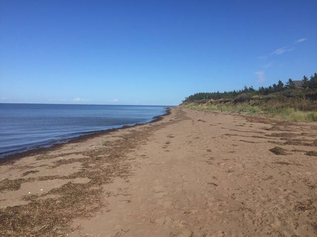 Beachfront Country Cottage Getaway gallery image 3