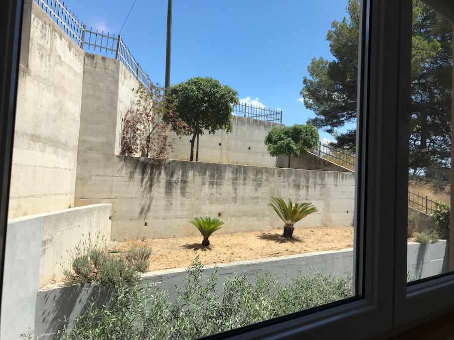 Window view from bedroom