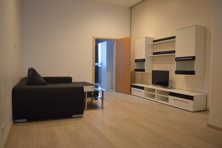 Belle Appartement Au Centre Bruxelles Apartments For Rent In Koekelberg Brussels Hoofdstedelijk Gewest Belgium