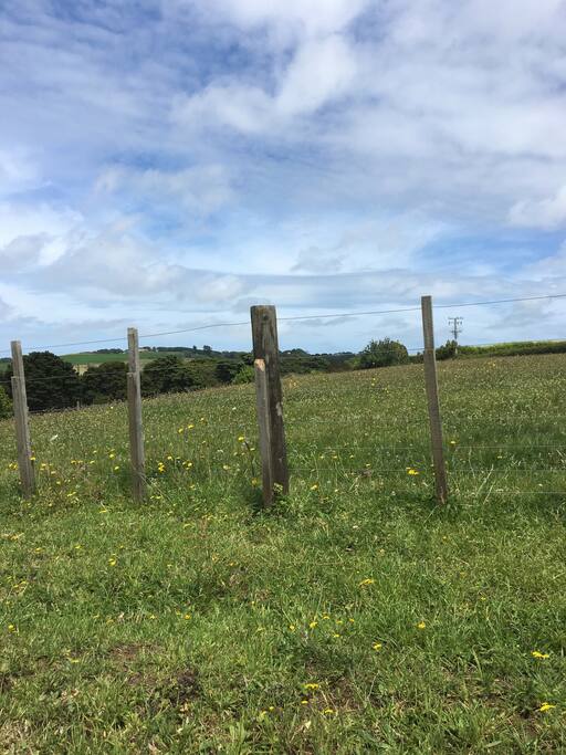 View across the paddocks