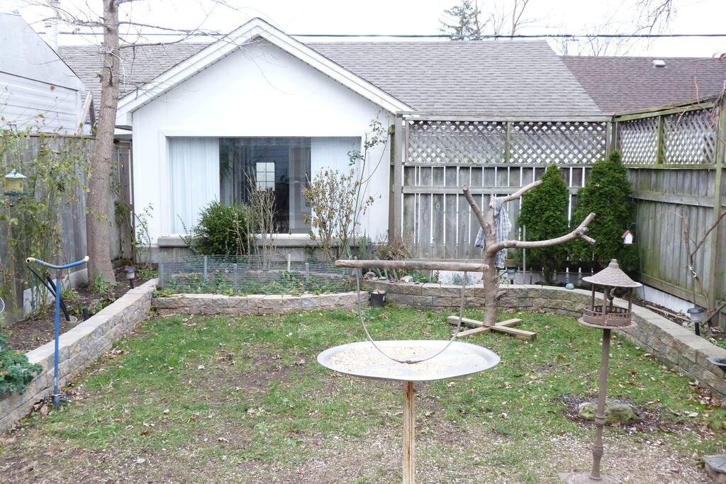 front view