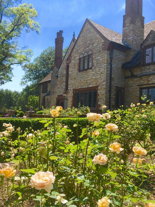 Hundreds of Roses