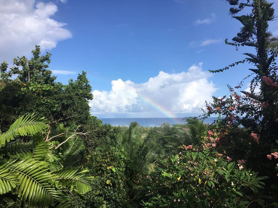 The view