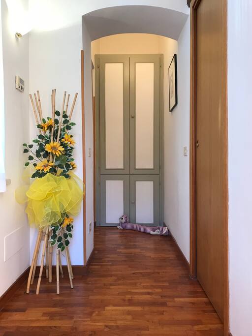 Ingresso