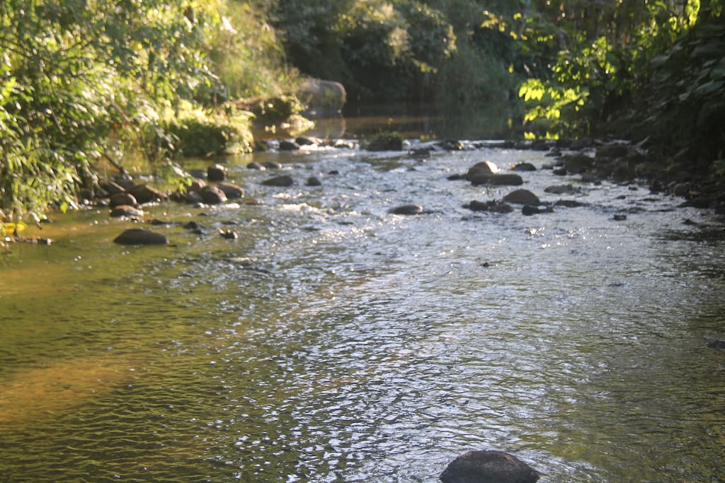Cachoeira