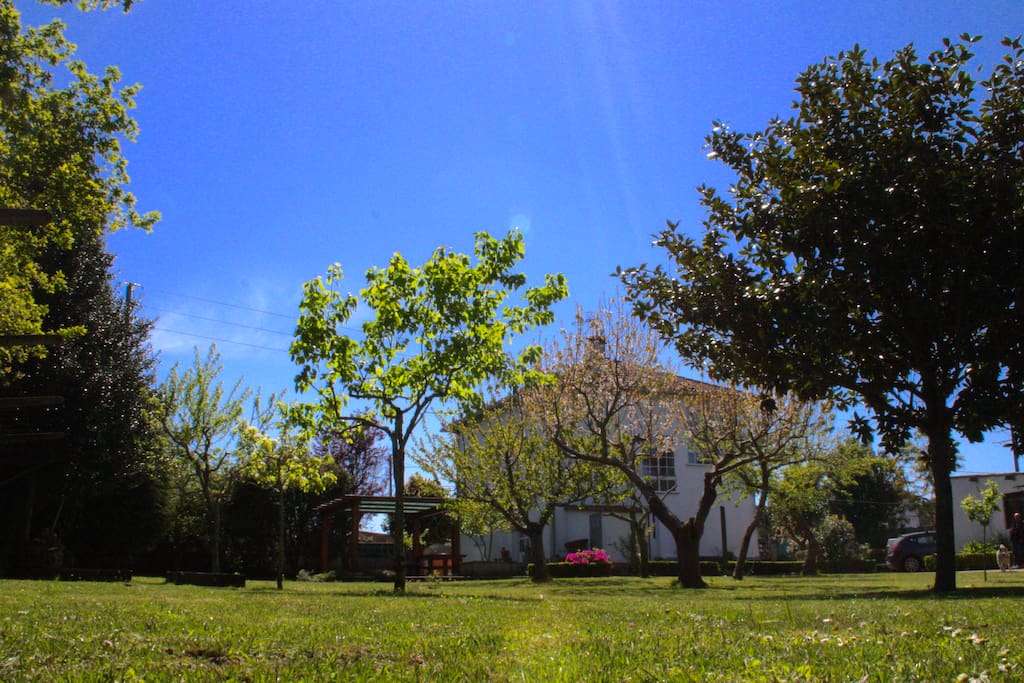 Amplia extensión de finca para el descanso. Privacidad y tranquilidad.