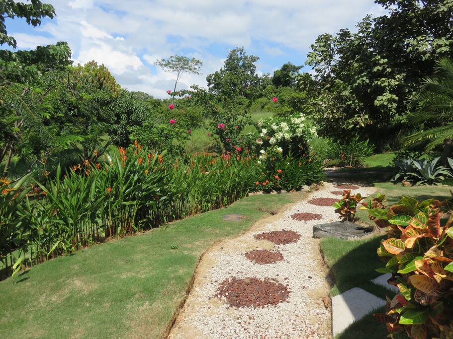Stroll through the private garden We have flowers all year 'round and we have a Mango, Papaya, and Lime tree which all bear fruit during the right seasons. There are also some young fruit trees and pineapple plants that haven't reached maturity yet.