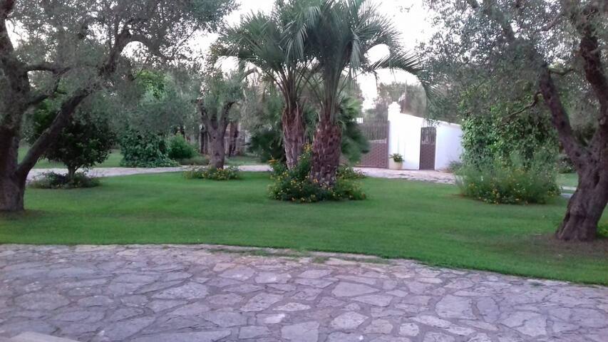 A Casa di Sofia villa con piscina nel Salento gallery image 2