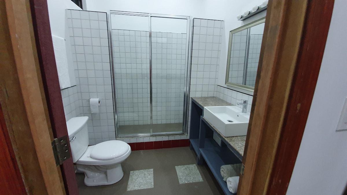 The bathroom features a modern design with a walk-in shower enclosed by glass. A spacious vanity with a sink is complemented by ample counter space and a large mirror. Neutral tiles and color schemes contribute to a clean and functional atmosphere.