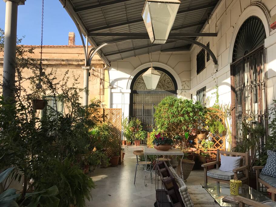 As you enter the terrace (2017)