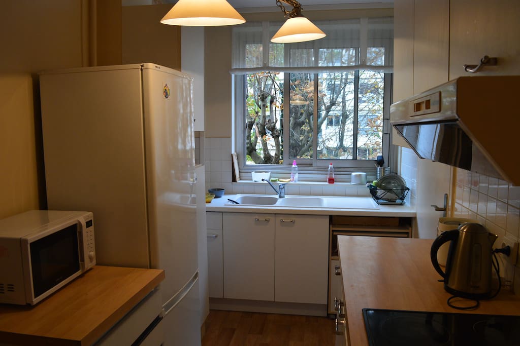 Useful kitchen: oven, microwave oven, fridge and typical french electric cooker.