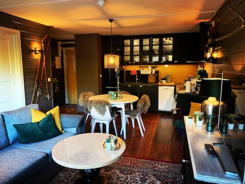 A cozy holiday apartment in Hemsedal resort