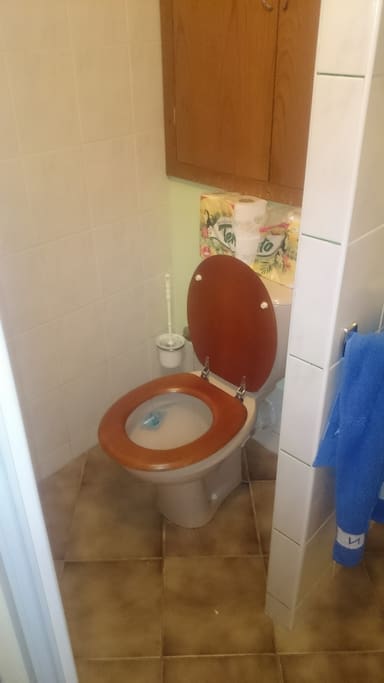 Toilet