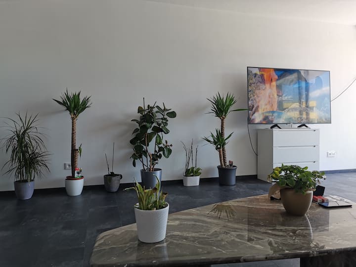Top Loft- Appartement Mila Im Zentrum Von Kempten - Kempten