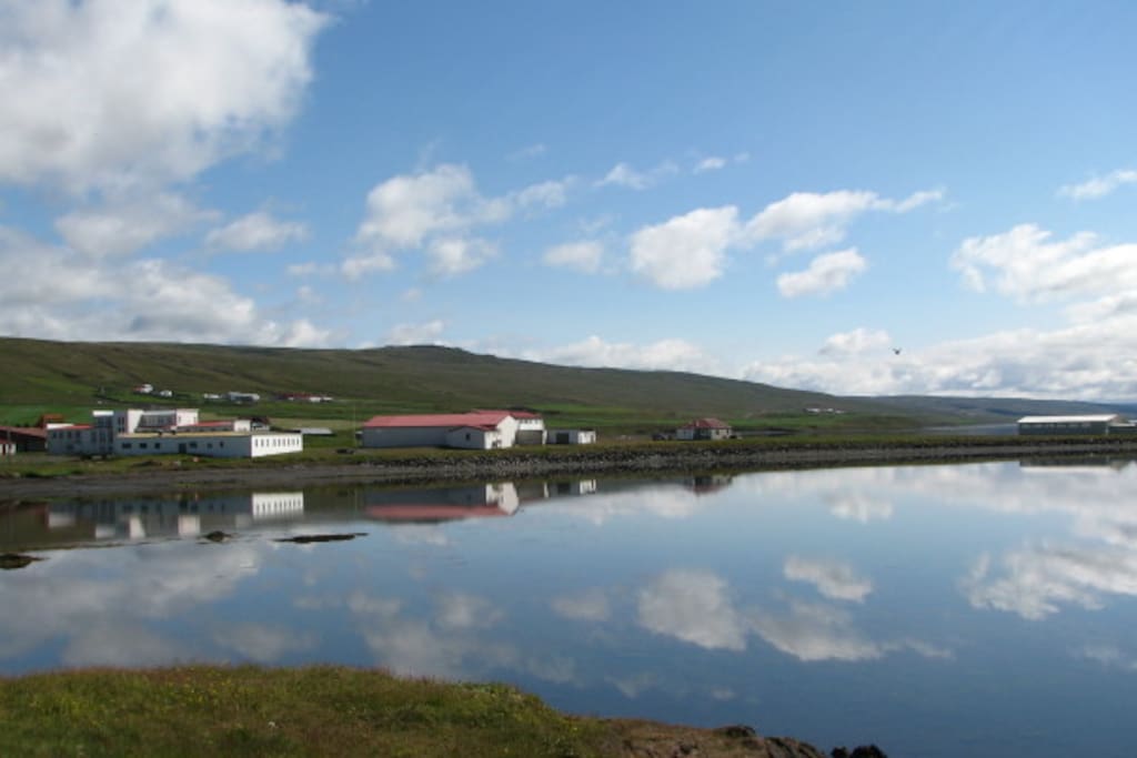 View from front of the cottage